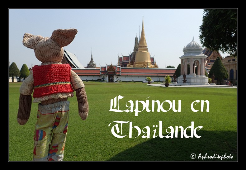 Lapinou in Thaïlande 2016